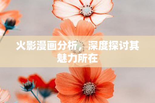 深度探讨其魅力所在图片
