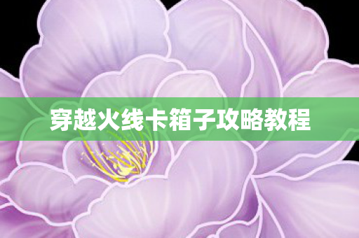 穿越火线卡箱子攻略教程图片