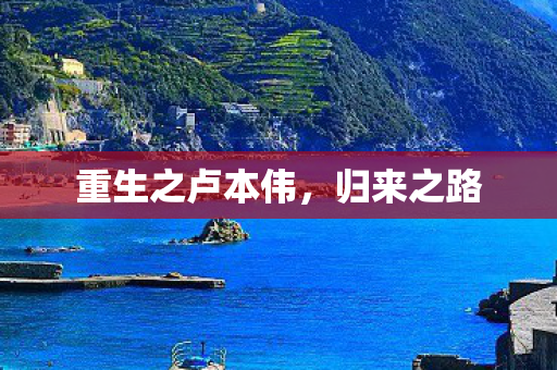 重生之卢本伟图片