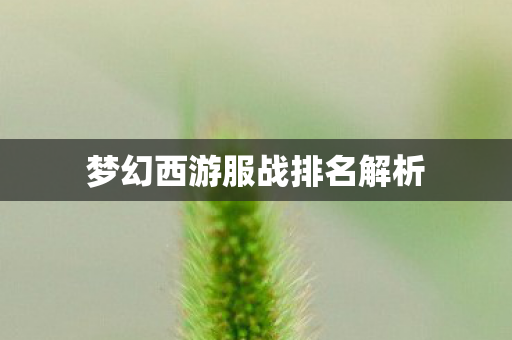 梦幻西游服战排名解析图片