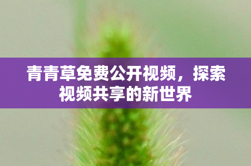 探索视频共享的新世界图片