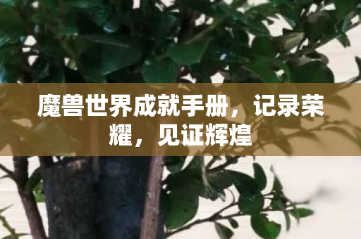 魔兽世界成就手册图片