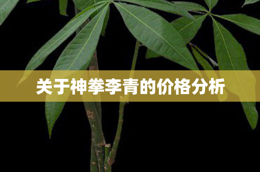 关于神拳李青的价格分析图片