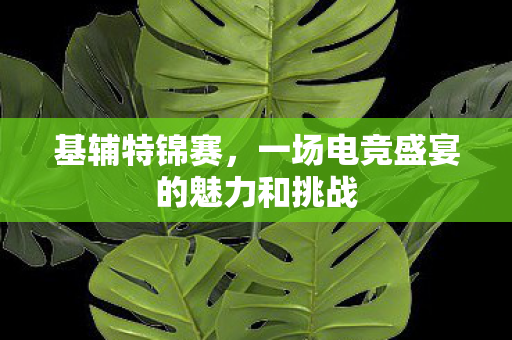 一场电竞盛宴的魅力和挑战图片