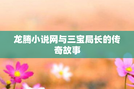 龙腾小说网与三宝局长的传奇故事图片