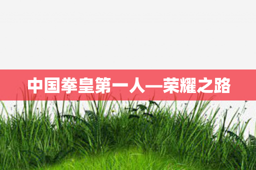 中国拳皇第一人图片