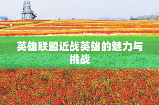 英雄联盟近战英雄的魅力与挑战图片