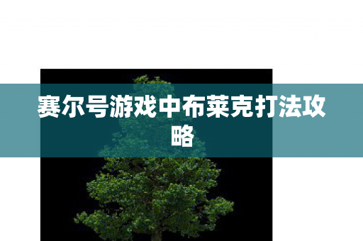 赛尔号游戏中布莱克打法攻略图片