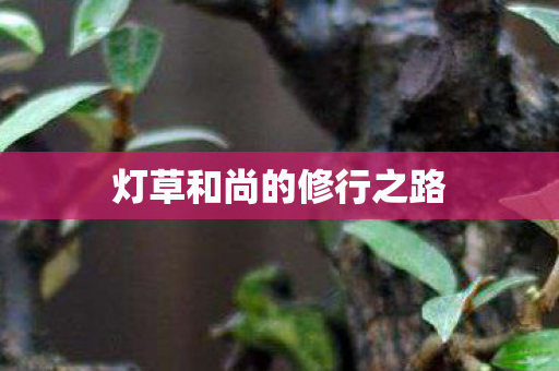 灯草和尚的修行之路图片