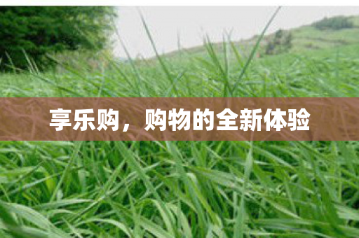 购物的全新体验图片