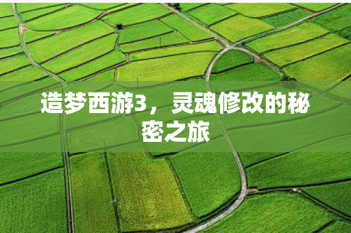 灵魂修改的秘密之旅图片