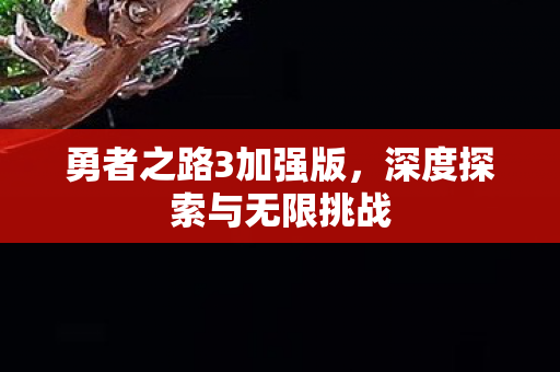 深度探索与无限挑战图片