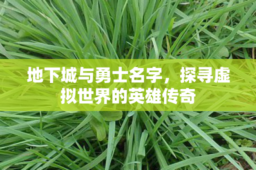 探寻虚拟世界的英雄传奇图片