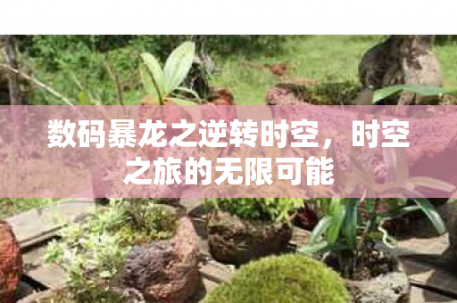 数码暴龙之逆转时空图片