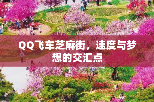 速度与梦想的交汇点图片
