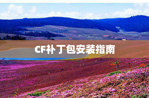 CF补丁包安装指南图片