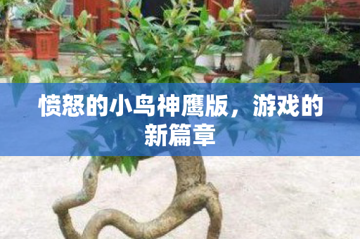愤怒的小鸟神鹰版图片