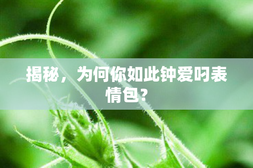 为何你如此钟爱叼表情包图片