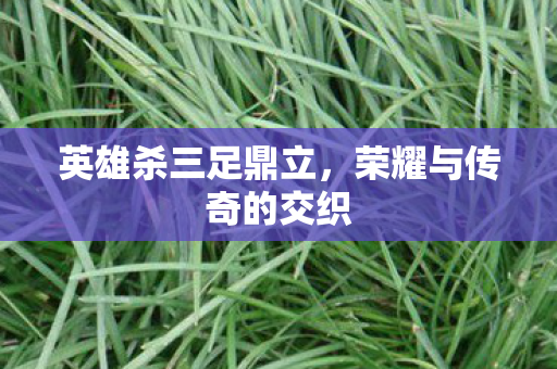荣耀与传奇的交织图片