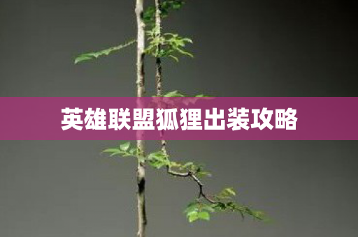 英雄联盟狐狸出装攻略图片