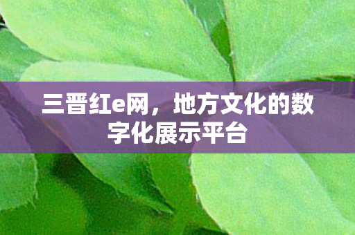 地方文化的数字化展示平台图片