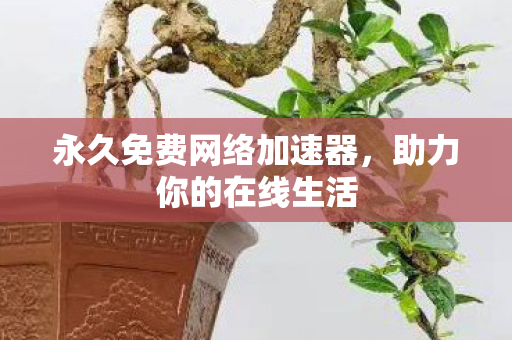 永久免费网络加速器图片