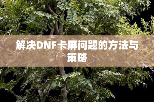 解决DNF卡屏问题的方法与策略图片