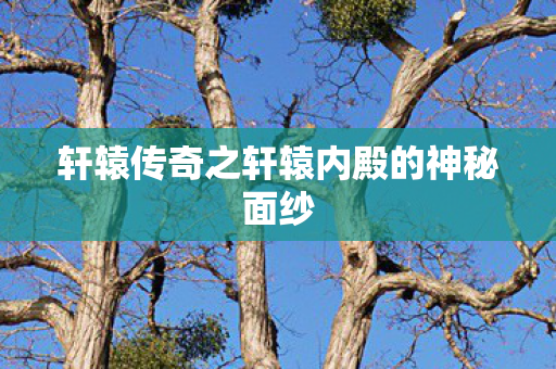 轩辕传奇之轩辕内殿的神秘面纱图片