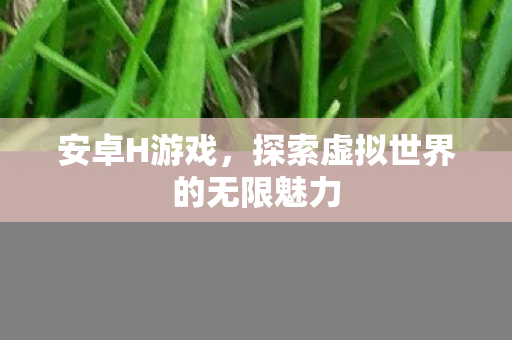 探索虚拟世界的无限魅力图片