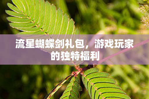 游戏玩家的独特福利图片