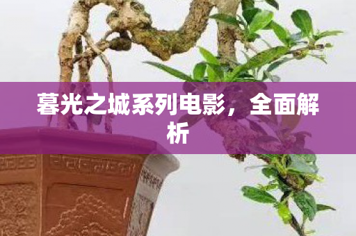 暮光之城系列电影图片