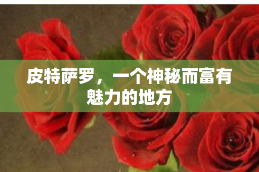 一个神秘而富有魅力的地方图片