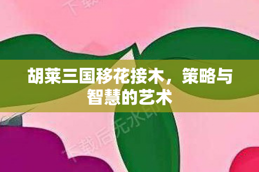 胡莱三国移花接木图片