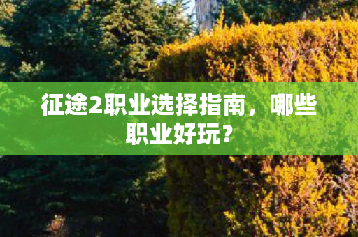 征途2职业选择指南图片