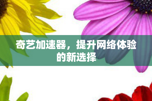 提升网络体验的新选择图片
