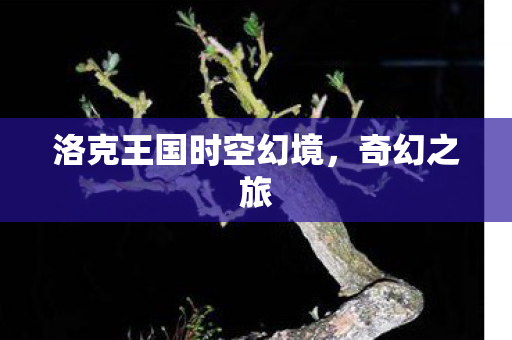 洛克王国时空幻境图片