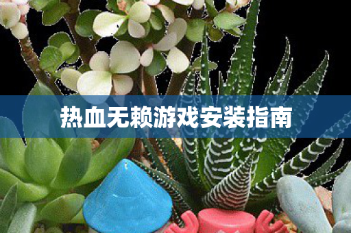 热血无赖游戏安装指南图片