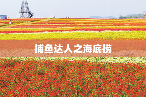捕鱼达人之海底捞图片