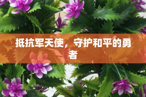 守护和平的勇者图片