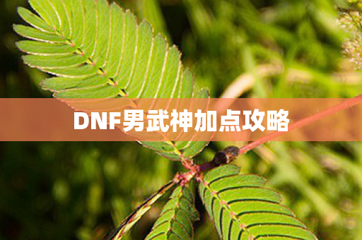 DNF男武神加点攻略图片