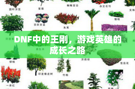 游戏英雄的成长之路图片