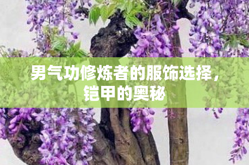 男气功修炼者的服饰选择图片