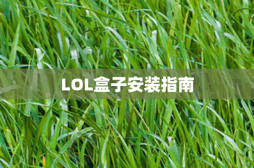 LOL盒子安装指南图片