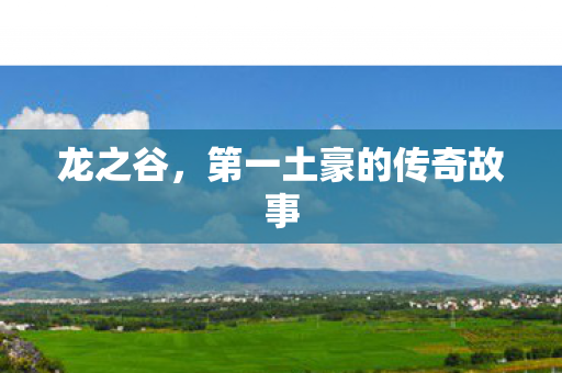 第一土豪的传奇故事图片