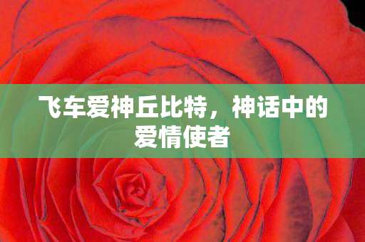 神话中的爱情使者图片