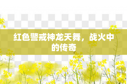 红色警戒神龙天舞图片