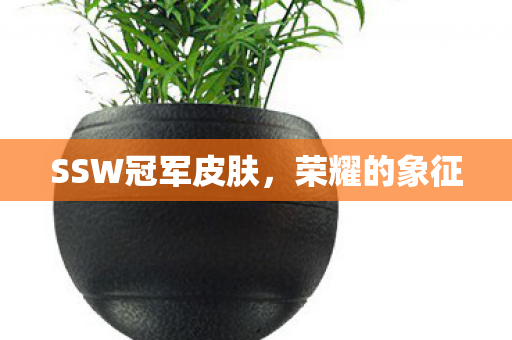 SSW冠军皮肤图片