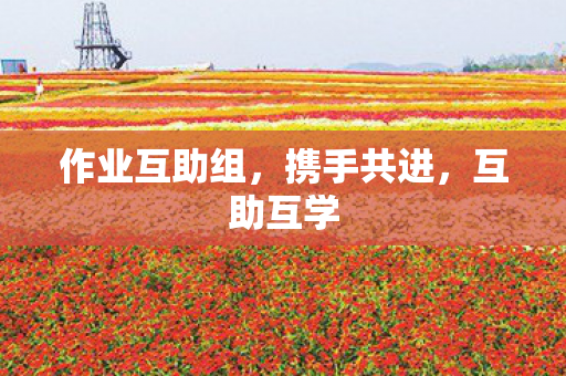 作业互助组图片