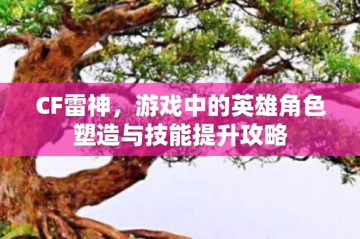 游戏中的英雄角色塑造与技能提升攻略图片