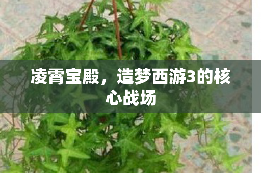 造梦西游3的核心战场图片